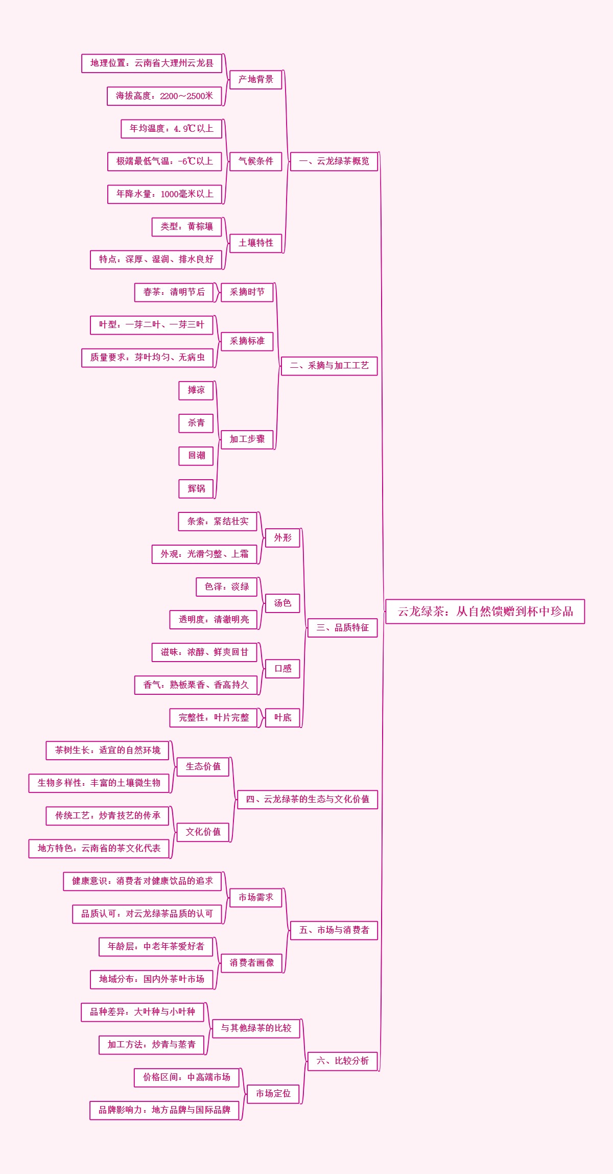 云龙绿茶：从自然馈赠到杯中珍品