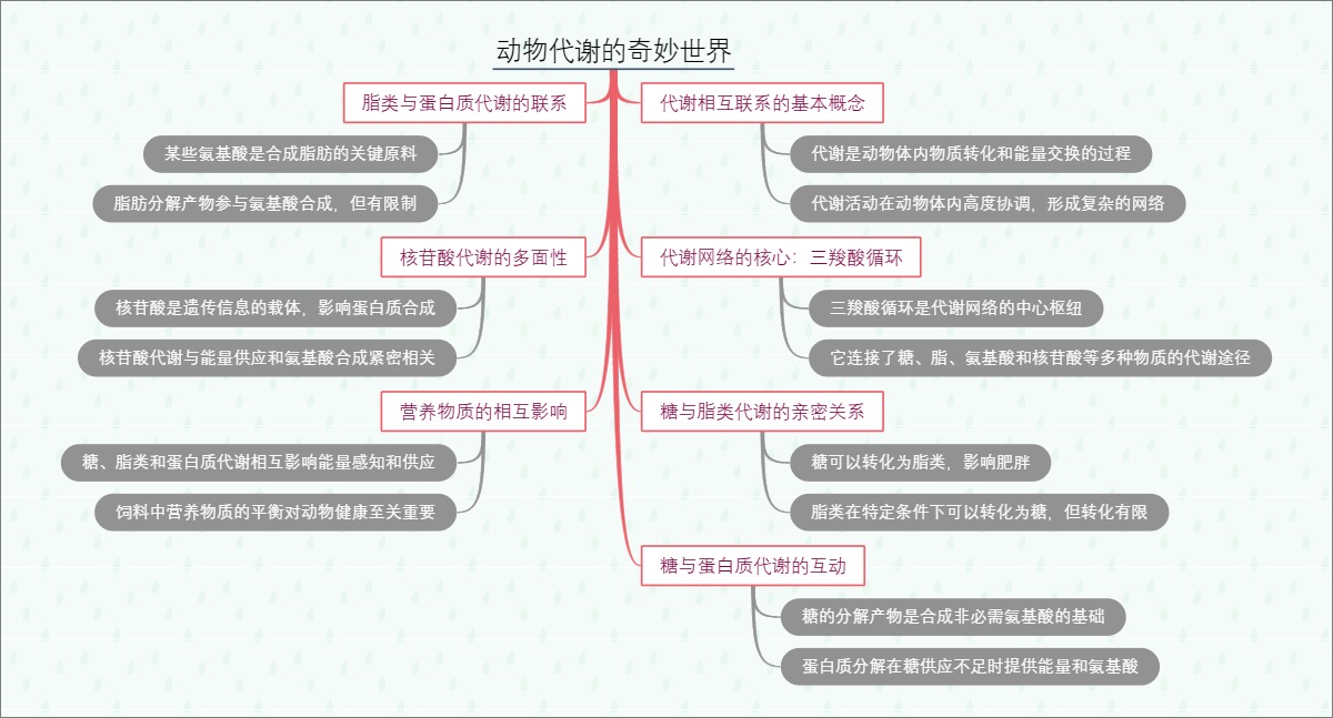 动物代谢的奇妙世界