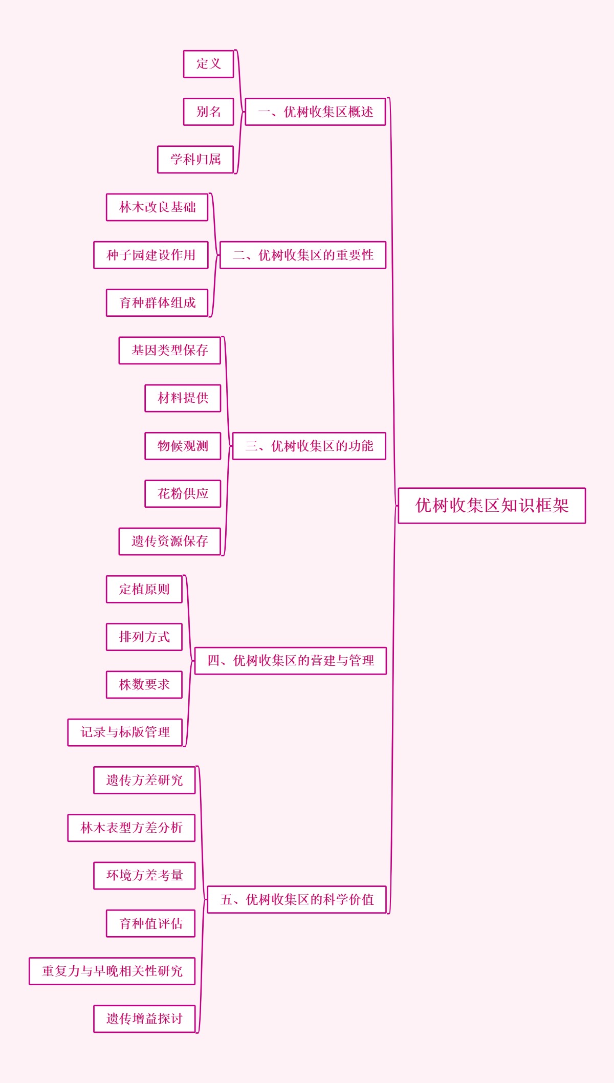 优树收集区知识框架