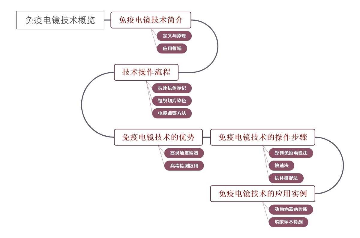 免疫电镜技术概览