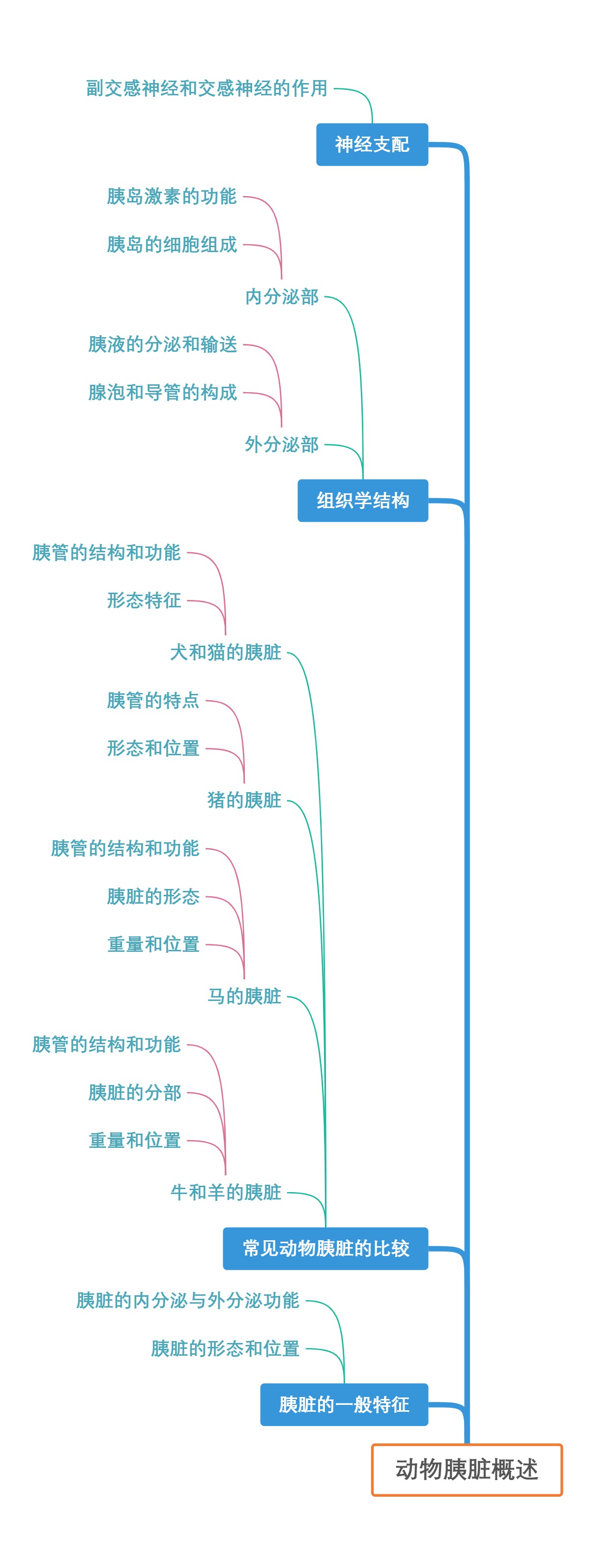 动物胰脏概述