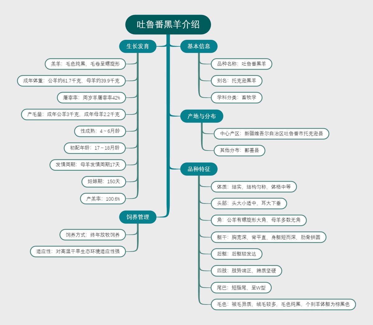 吐鲁番黑羊介绍