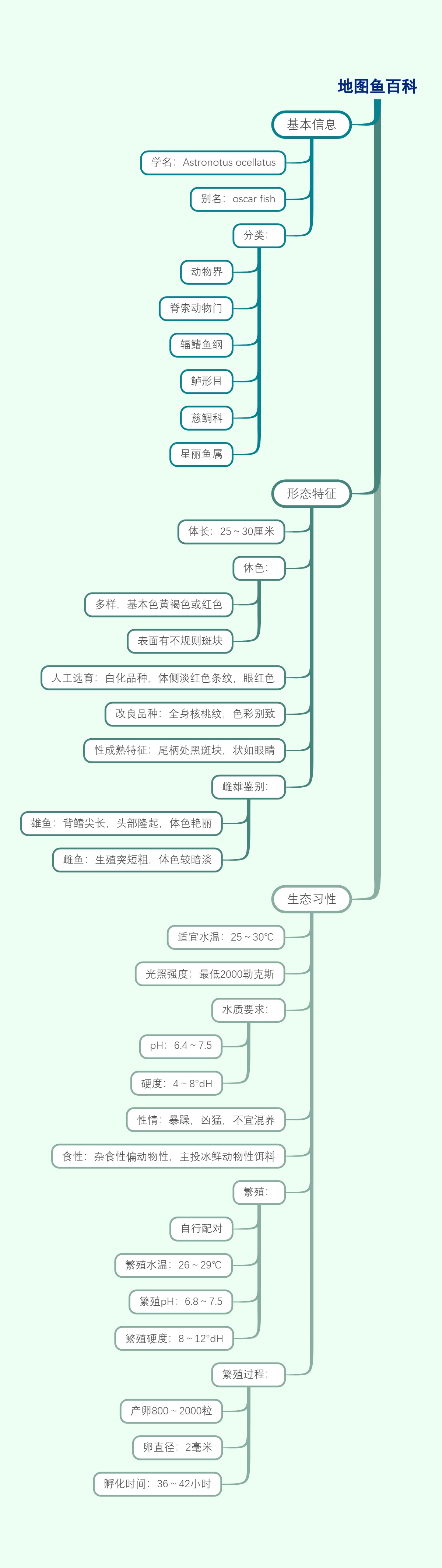 地图鱼百科