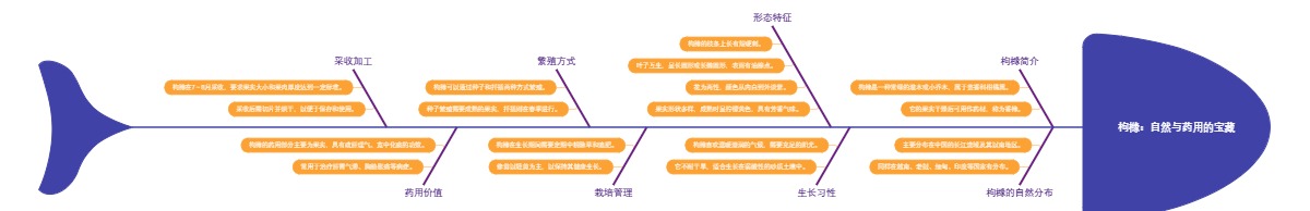 枸橼：自然与药用的宝藏