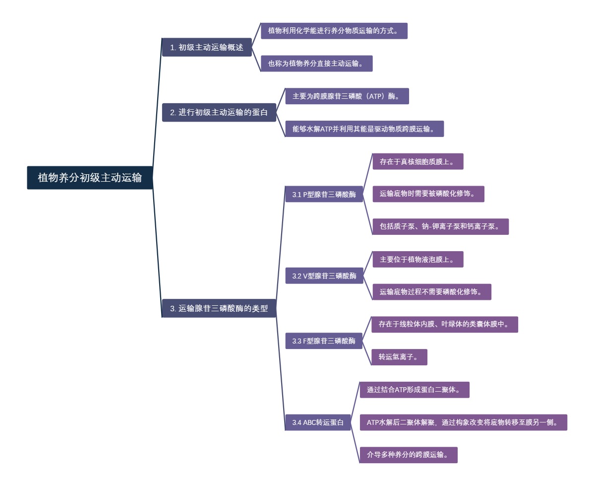 植物养分初级主动运输