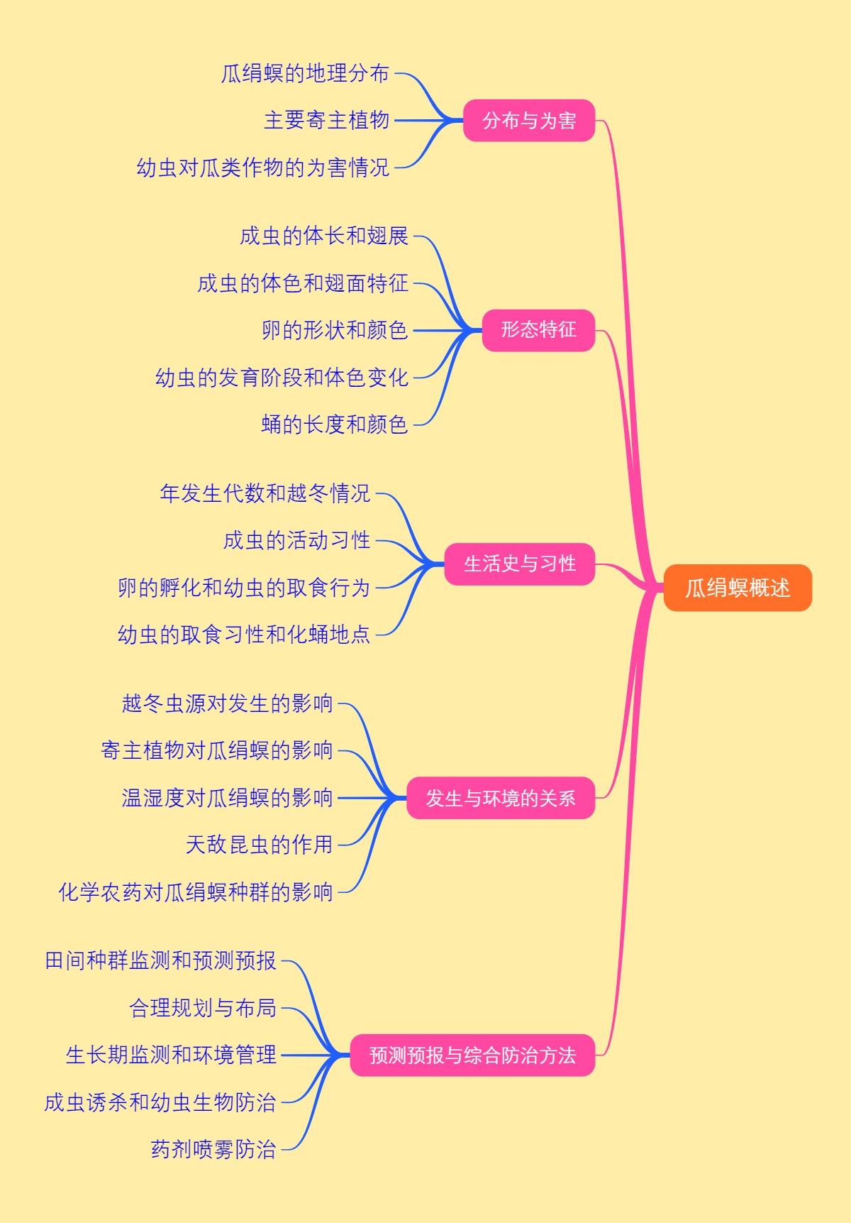 瓜绢螟概述