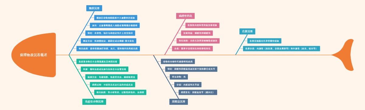 病理物质沉着概述