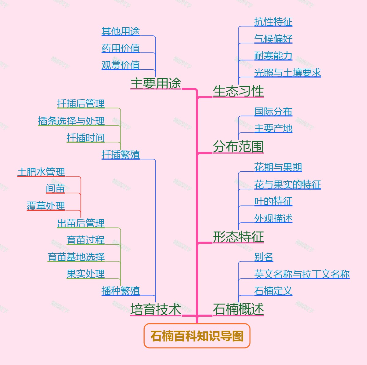 石楠百科知识导图