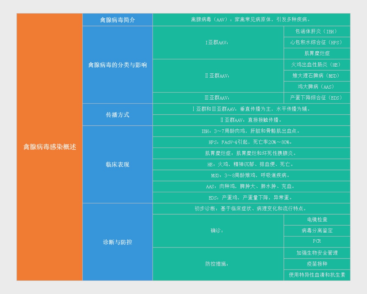 禽腺病毒感染概述