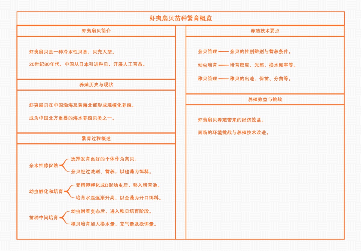 虾夷扇贝苗种繁育概览