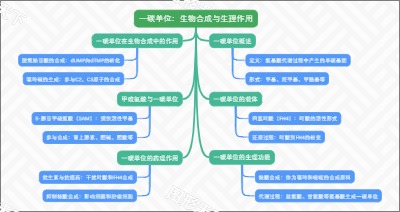 一碳单位：生物合成与生理作用