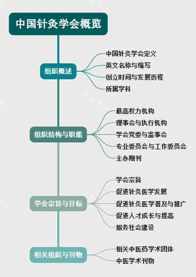 中国针灸学会概览