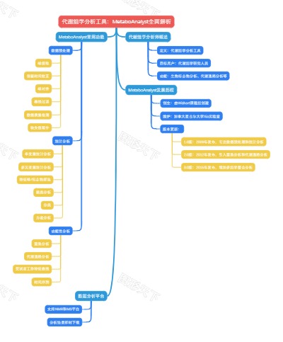代谢组学分析工具：MetaboAnalyst全面解析