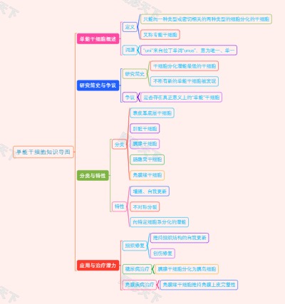 单能干细胞知识导图