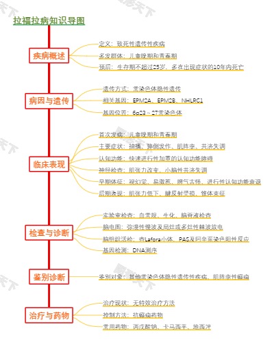 拉福拉病知识导图