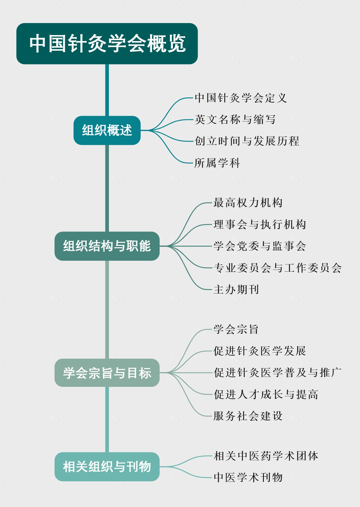 中国针灸学会概览