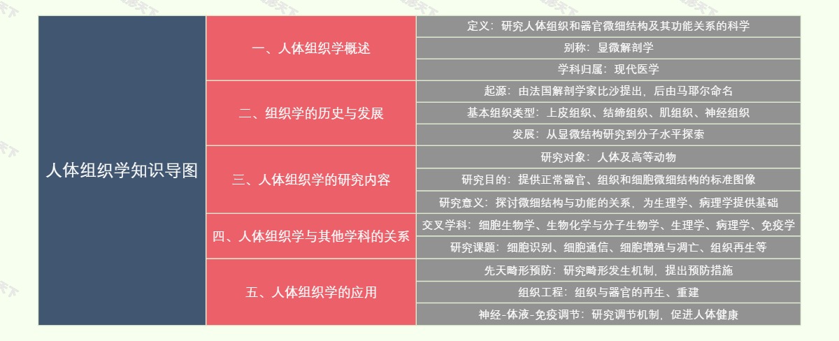 人体组织学知识导图