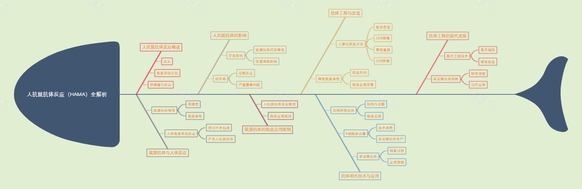 人抗鼠抗体反应（HAMA）全解析