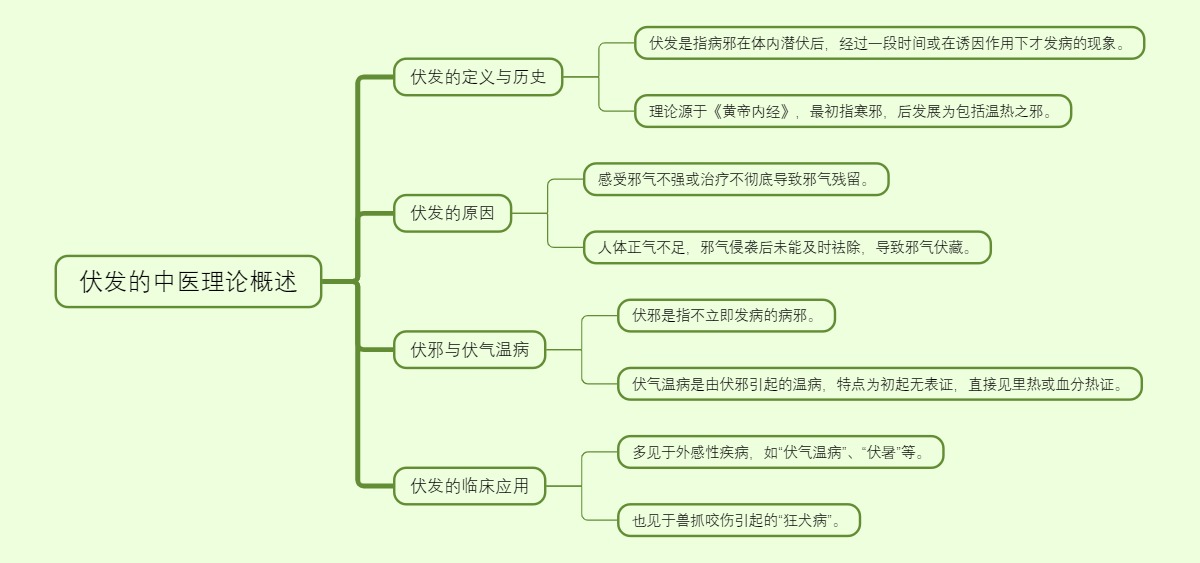 伏发的中医理论概述