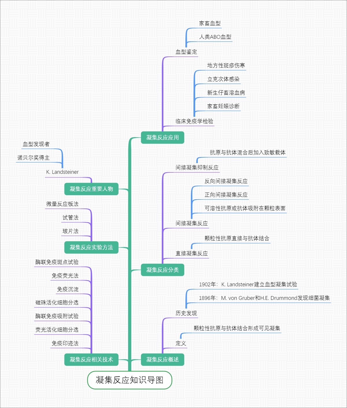 凝集反应知识导图