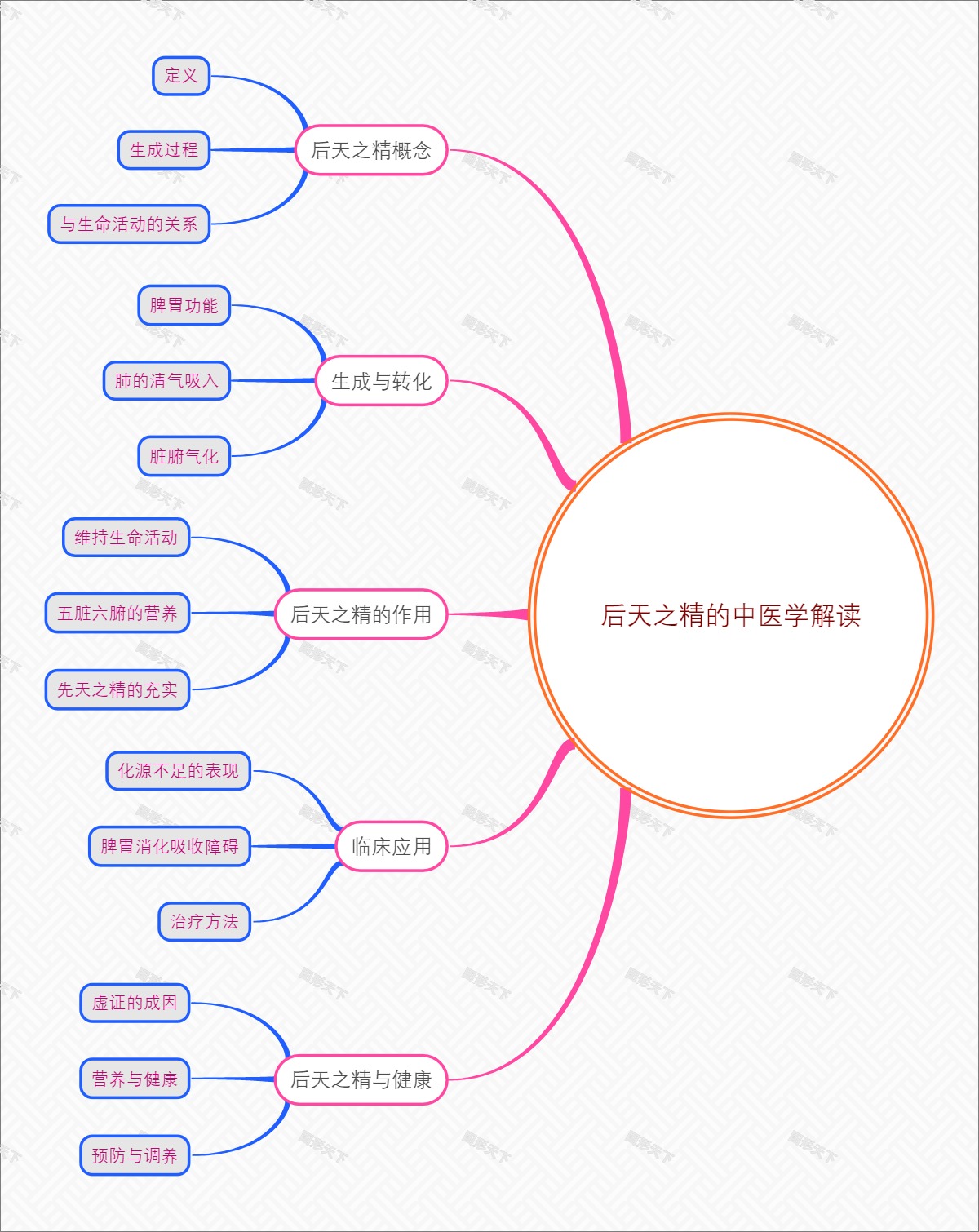 后天之精的中医学解读