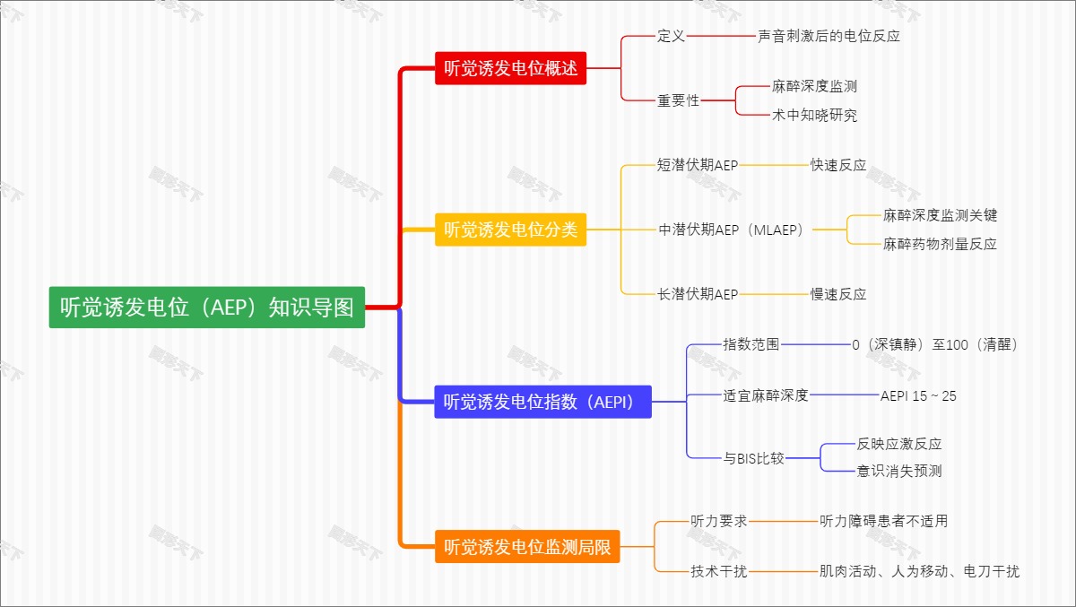 听觉诱发电位（AEP）知识导图