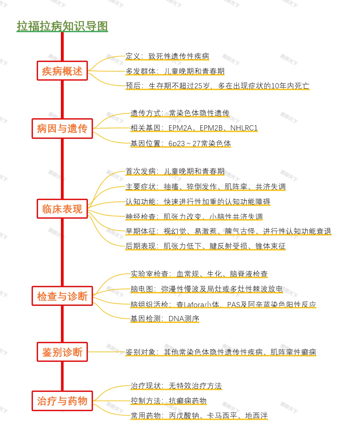 拉福拉病知识导图