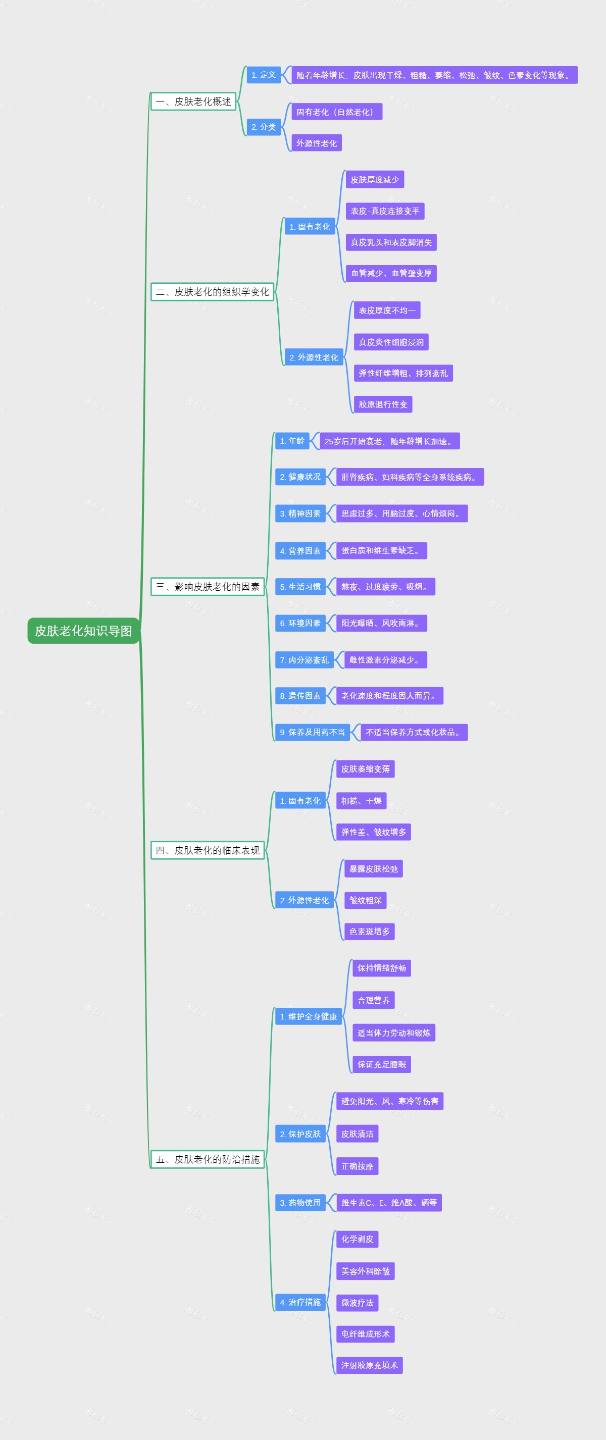 皮肤老化知识导图