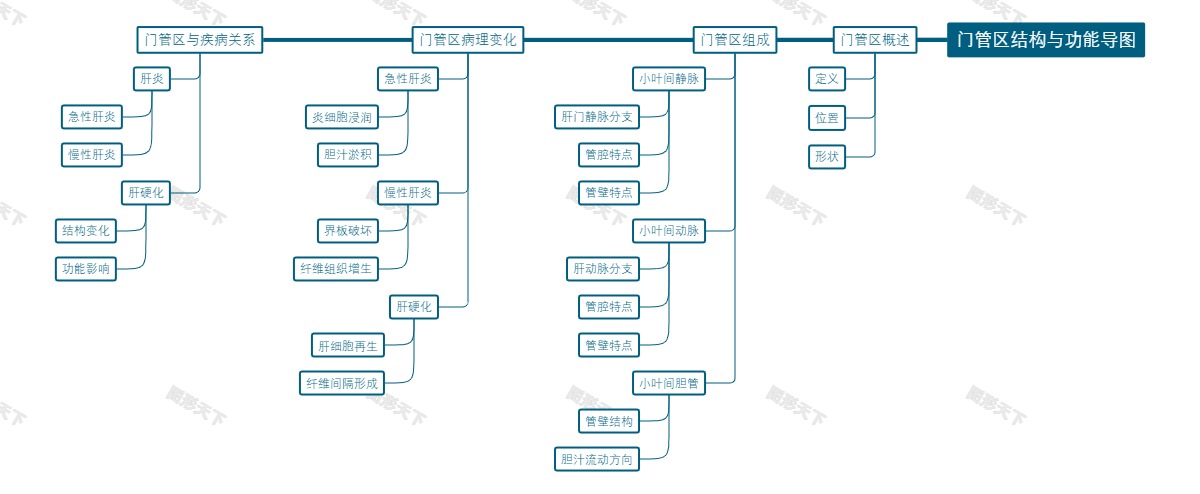 门管区结构与功能导图