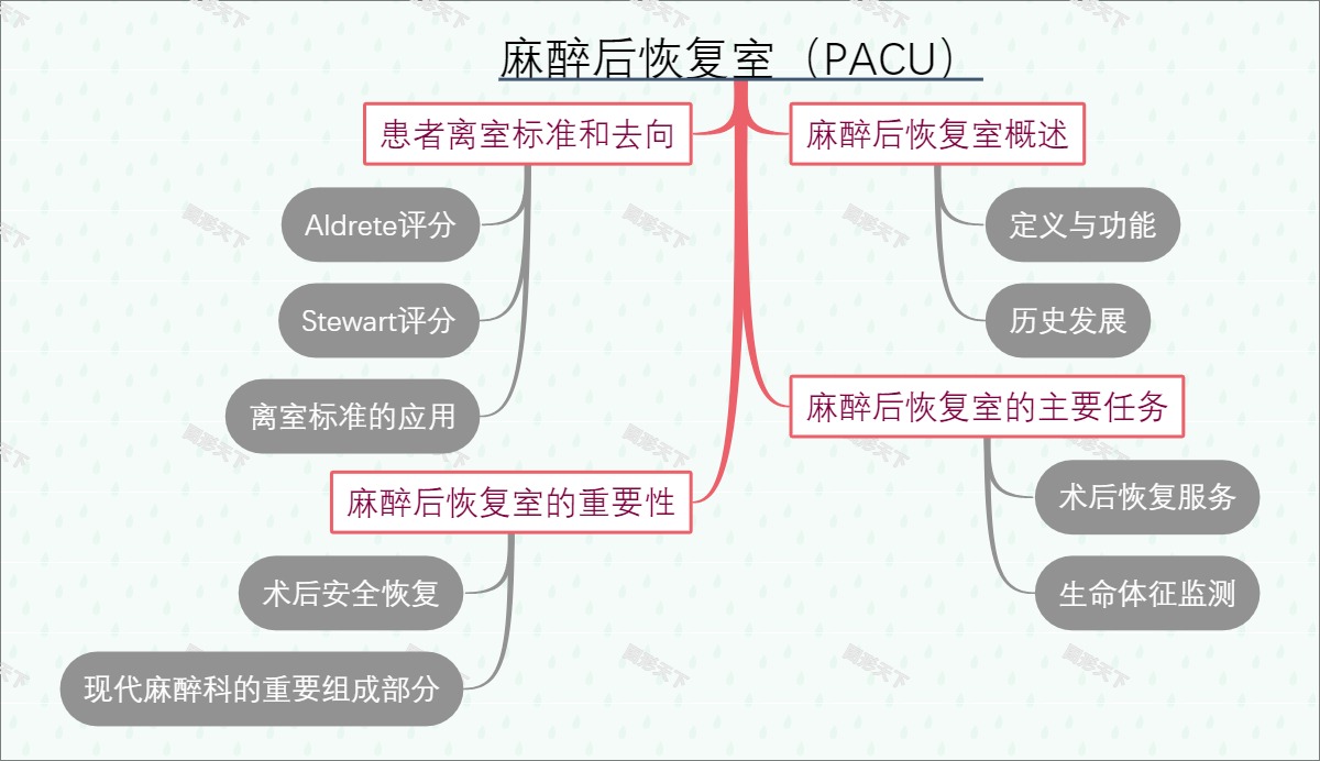 麻醉后恢复室（PACU）