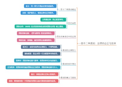 一罪不二审原则：法律的公正与效率