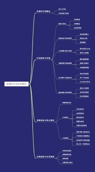 反爆炸行动全面解析