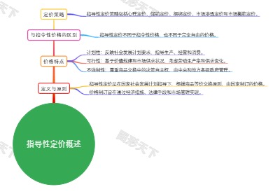 指导性定价概述