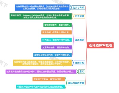 近自然林业概述