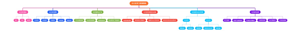 公共宣传与营销策略