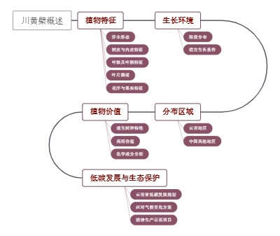 川黄檗概述