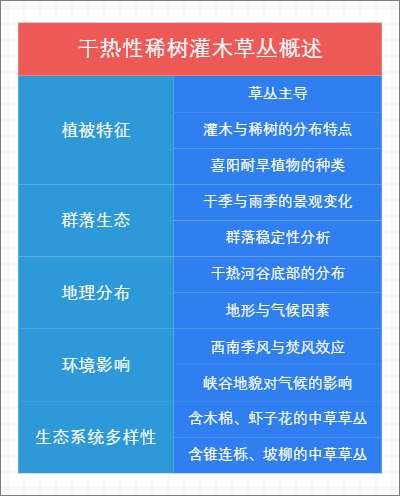 干热性稀树灌木草丛概述