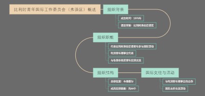 比利时青年国际工作委员会（弗语区）概述