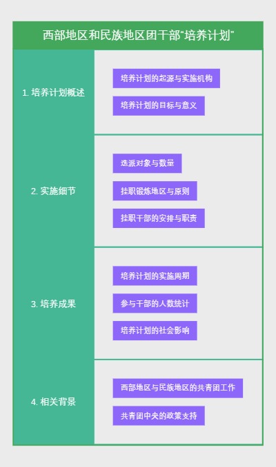 西部地区和民族地区团干部“培养计划”