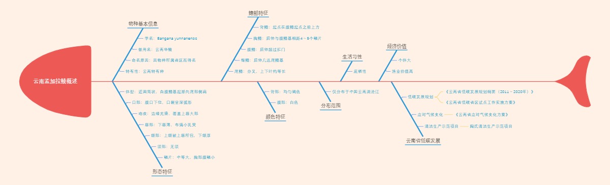 云南孟加拉鲮概述