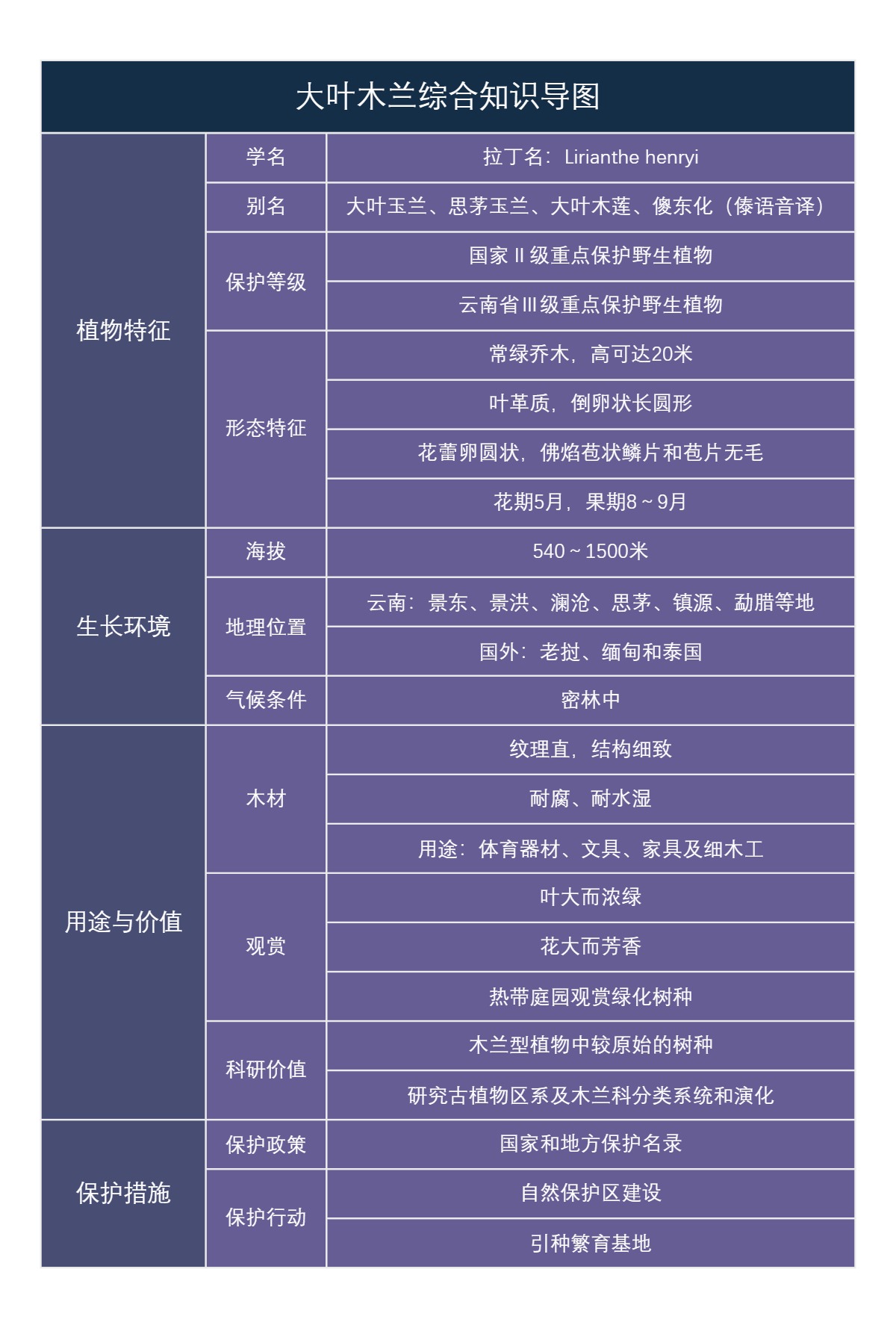 大叶木兰综合知识导图