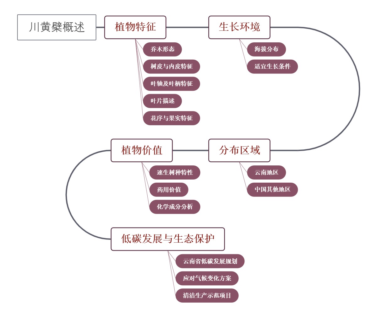 川黄檗概述