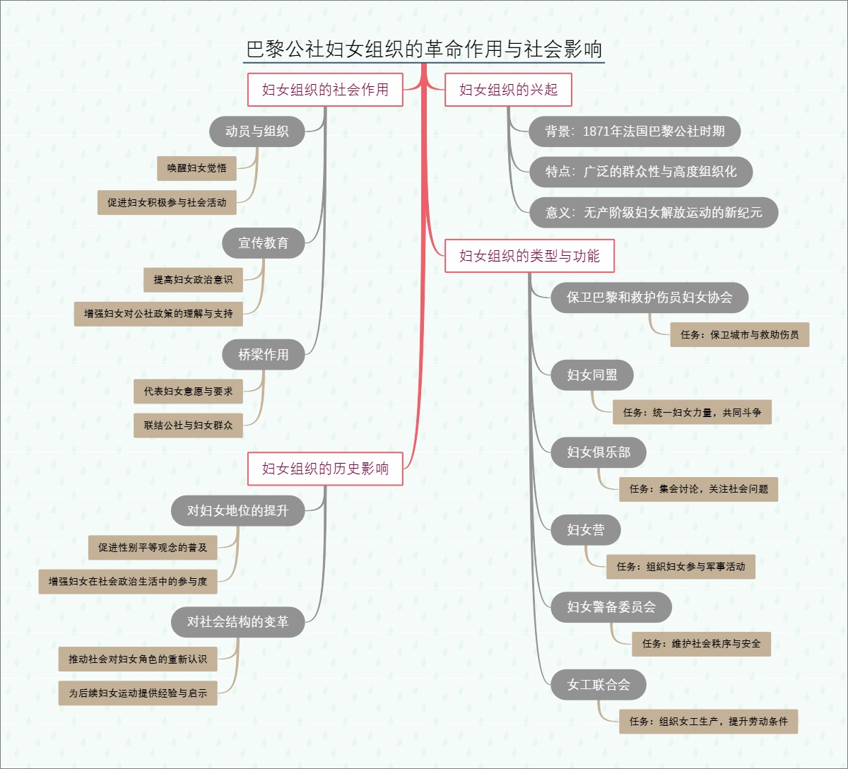 巴黎公社妇女组织的革命作用与社会影响