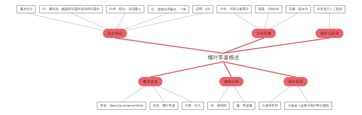 樟叶苹婆概述