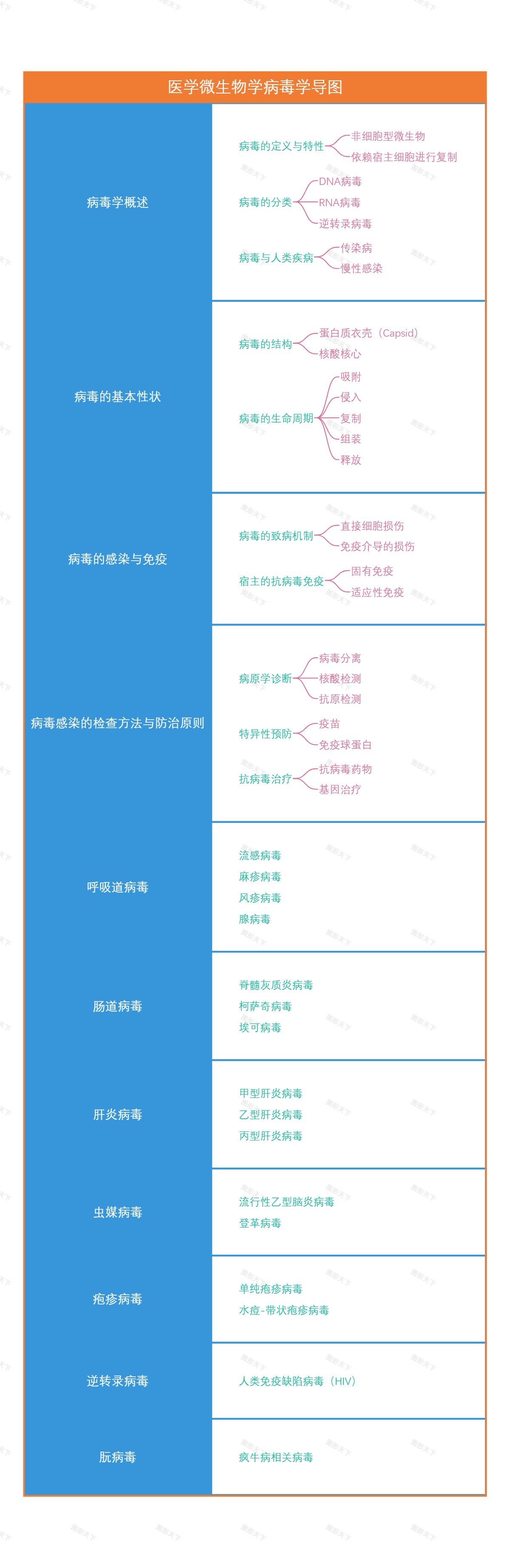 医学微生物学病毒学导图